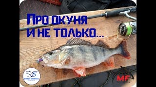 Рыбалка на рыбинском водохранилище заповедный край