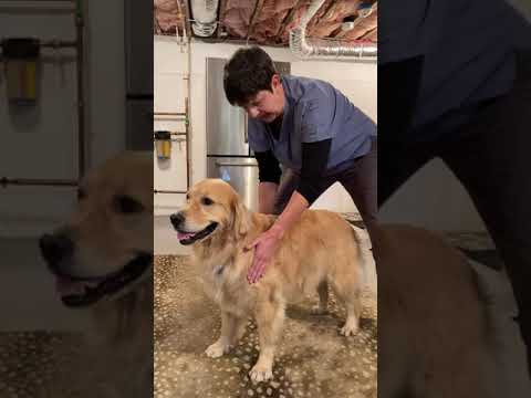 Rhythmic Stabilization