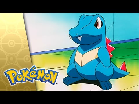 Don't Touch That 'Dile! | POKÉMON FULL EPISODE 1 | Season 3