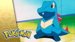 Pokémon: The Johto Journeys (Season 3)