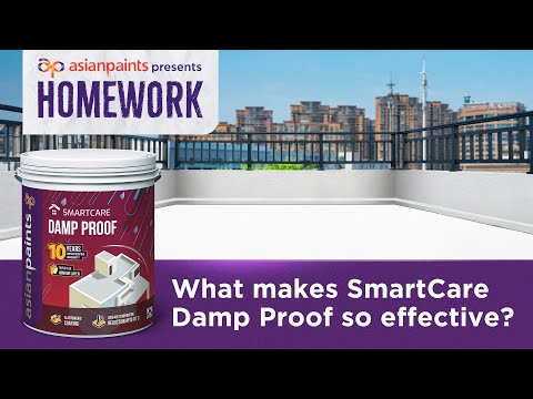 Asian Paints Smart Care Damp Proof Paint