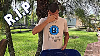 You Won’t Believe This HAPPENED!!.. (Baby Goats)