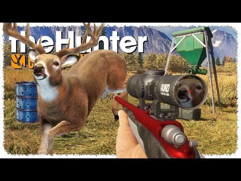 Game Feeders change EVERYTHING (the deer come to me now) | theHunter: Call of the Wild
