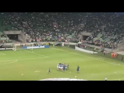 Bora verdao na minha casa quem manda sou eu Allianz parque aqui eh o caldeirão verde