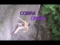 Cobra Crack 2006