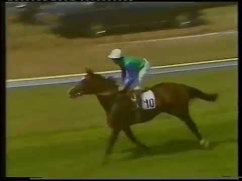 Sadler's Wells - 1984 Coral Eclipse Stakes (Group 1)