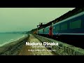 Nuduru Dinaka (GeemathBeats Remix)