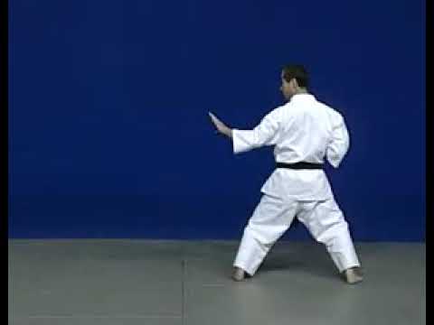 Wado Ryu Karate kata niseishi