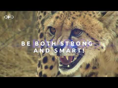 RAFAEL's New Gen Combat Suite - From platform management to ultra - effective mission management