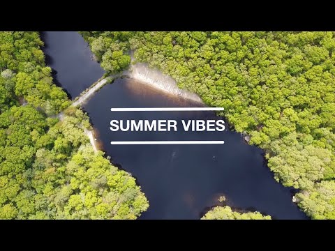 Flying above Noanet Woodlands  |  Mavic Mini Joyride