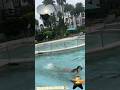 Saraalikhan Loves Swimming In The Pool Shorts