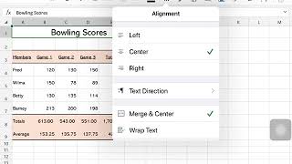 Excel for iPad
