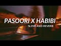 Pasoori X Habibi Slowed