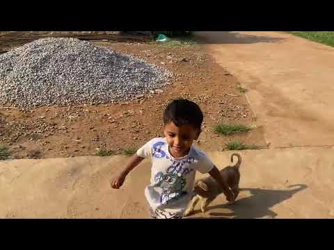Vrishank dog chase