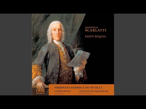 Sonata K 41 en Re m.: Andante, moderato