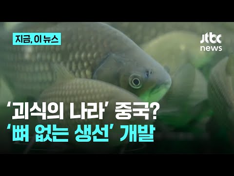 JTBC) China, the land of bizarre food strikes again?.. Boneless fish developed through gene editing