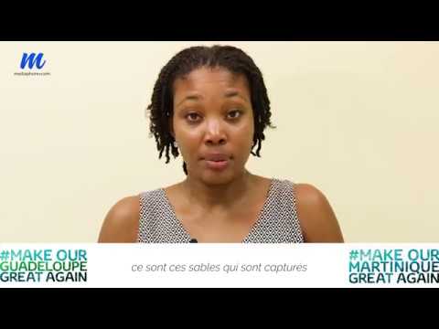 Qu'est ce que les brumes de sable ?