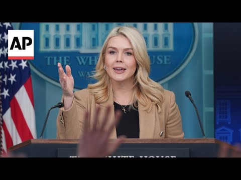 Trump was 'joking' about canceling midterm elections, Leavitt says