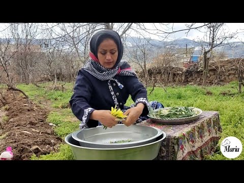 Rural life 🏡Gardening and cooking local dishes with neem mountain herb🫕