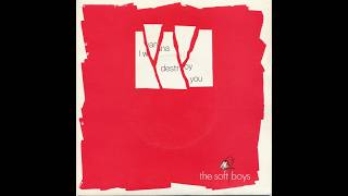 Behind the Song: "I Wanna Destroy You" by The Soft Boys - featuring Robyn Hitchcock