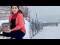 Hot Milk Soup The Pleasure Of Warmth In Snowy Weather