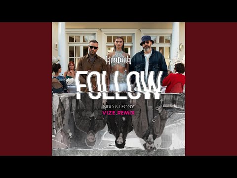 Follow (VIZE Remix)