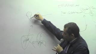 21. Dr. Ahmed Abd El-Rahman [ tyramine-amphetamine-mthamphetamine- vassopressors- vasodilators]