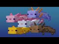 1 Hour Zodiac Killer Axolotl Vibe