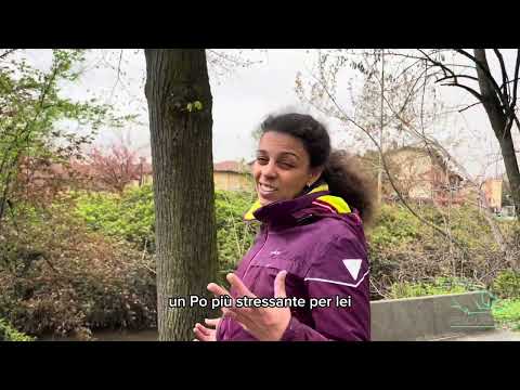 Video di JOY