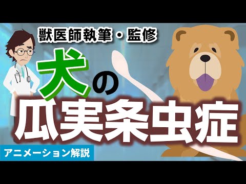 嚢虫症について詳しく解説
