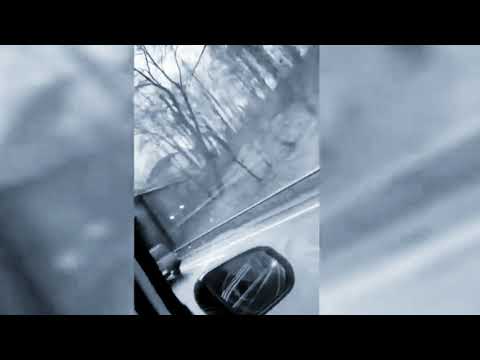 Capital Bra X Ngee -  ( hörprobe)