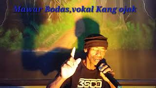 Download lagu mawar Bodas- Yayan Jatmiko(cover) by kang ojak mp3 Download lagu mawar Bodas- Yayan Jatmiko(cover) by kang ojak mp3