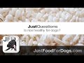 Can You Feed Dogs Rice Everyday Free Download Audio Mp3 and Mp4