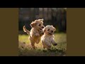 Canciones De Cuna Para Cachorros Acurrucados