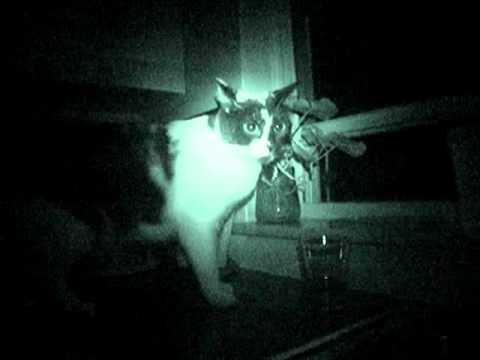 YES - Sad Night At The Airfield