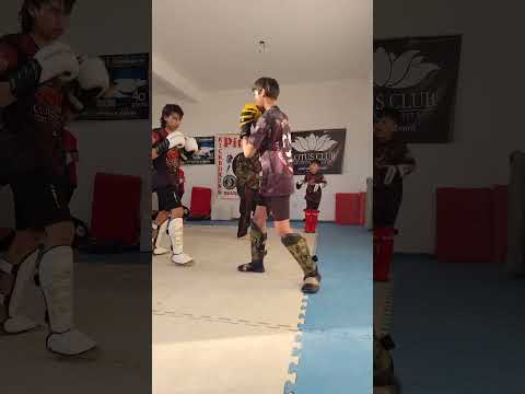 IN A DAMN THERAPY PITBULL GYM JUNÍN DE LOS ANDES