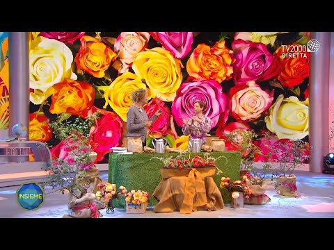 Mondo Insieme, 21 marzo 2021