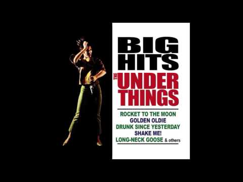 The Underthings -- Rocket To The Moon