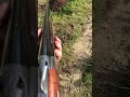 Il tire les taupes au fusil de chasse et c'est l'accident