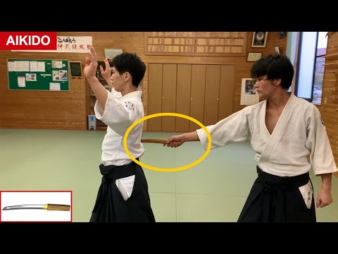 AIKIDO TANTO DORI SHIRAKAWA