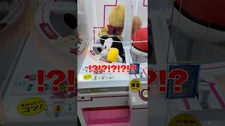 【神業】30万クラスの巨大ぬいぐるみを100円で獲る方法#ダイキ様 #UFOキャッチャー#ゲームセンター#股開きネズミ#攻略法