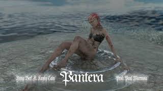 Pantera Music Video