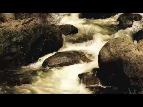 Copper Cat Roofing Strips - Removes Moss and Algae