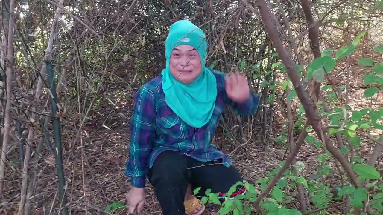 ออกแล้วหน่อไม้สายพันธุ์จิ๋วที่อร่อยและหายากสุดๆไม่คิดว่าจะเยอะขนาดนี้