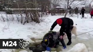 Тело утонувшей в проруби женщины нашли в Ленобласти - Москва 24 фото