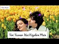 #new whatsapp status video 💞💞 teri Tasveer Hai Nigahon Mein💖💖🌹🌹💞💐/mere humshafar sr