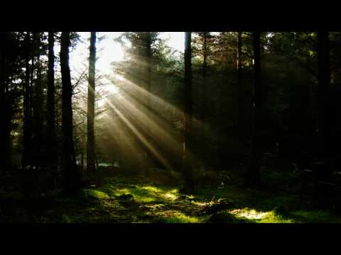 Giuseppe Ottaviani Feat. Faith - Angel (Mark Eteson & Ben Nicky Dub)