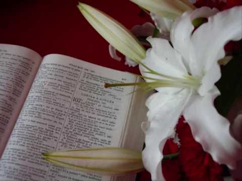 FLORIN  PAL      Dedicatie  mamei.