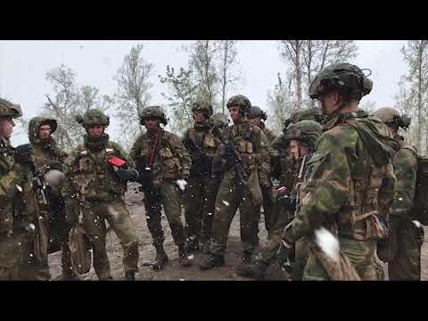 stormeskadron 4 - panserbataljonen - dimmefilm 1708