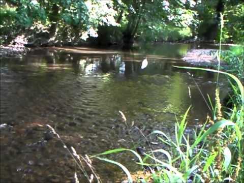 Julio Iglesias  RIO REBELDE (Videoclip Oficial)